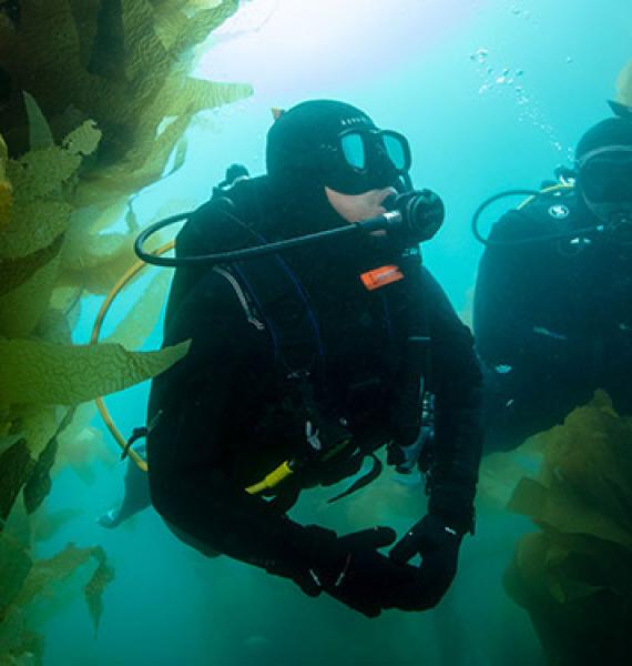 20 Scuba Diver 7.5 x2.5 cm ACCUCUT Die Coupe couleurs assorties carte plongée sous-marine